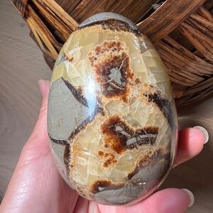 Septarian egg (a) | crystal